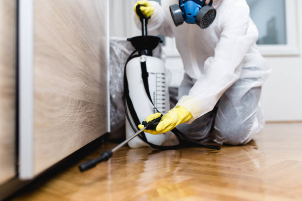 Best Mosquito Control Services  in Tulsa, OK