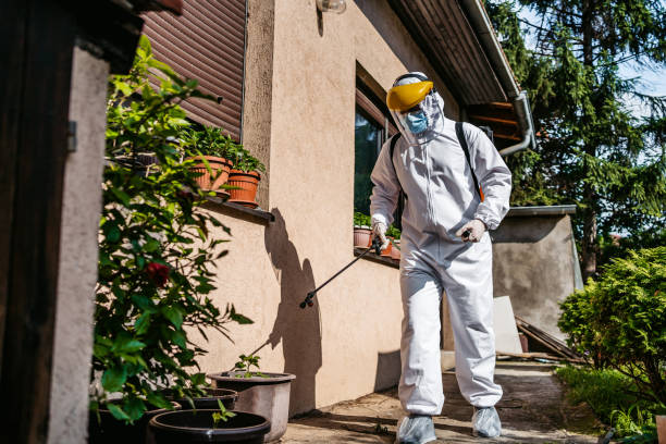 Best Pest Control Near Me in Tulsa, OK