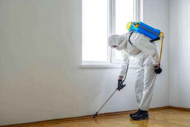 Best Pest Prevention Services  in Tulsa, OK