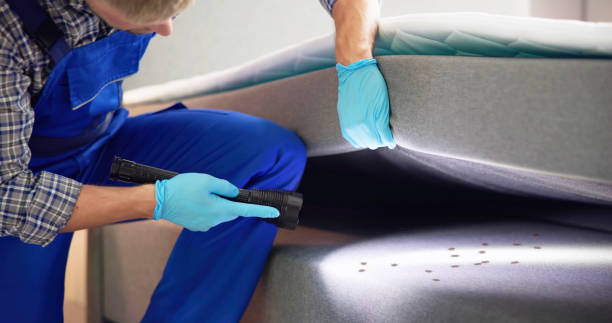 Best Pest Control for Homes  in Tulsa, OK