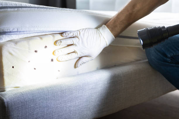 Best Rat Extermination Near Me  in Tulsa, OK