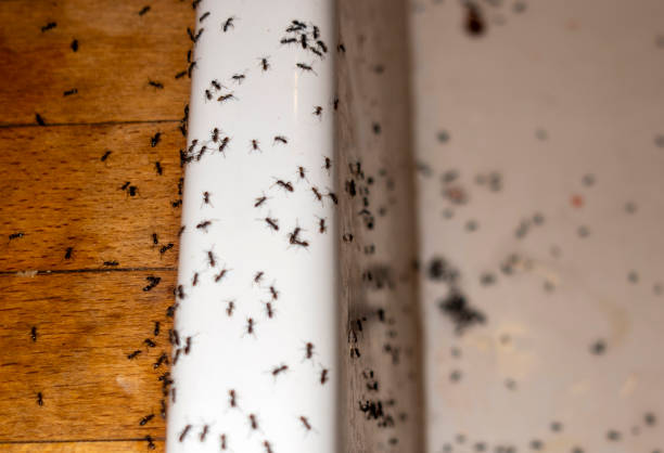 Tulsa, OK Pest Control Company