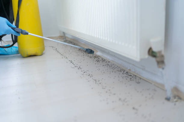 Best Termite Control Services  in Tulsa, OK