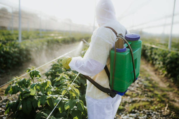Best Bed Bug Extermination  in Tulsa, OK